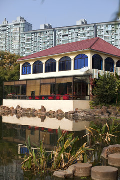 曲陽(yáng)公園 園林 休閑場(chǎng)所 樹(shù)木