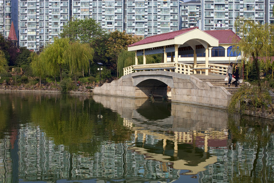 曲陽(yáng)公園 園林 休閑場(chǎng)所 拱橋