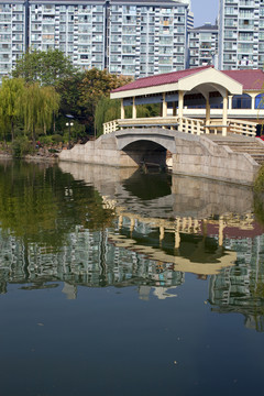 曲陽(yáng)公園 園林 休閑場(chǎng)所 拱橋