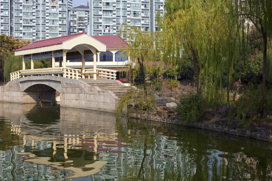 曲陽(yáng)公園 園林 休閑場(chǎng)所 樹木