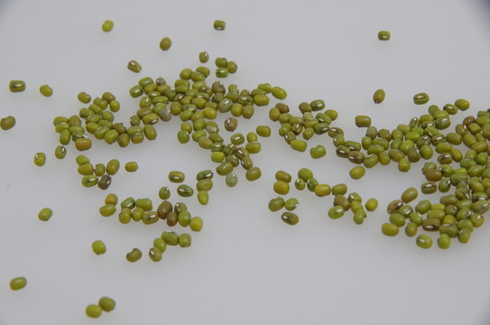 綠豆