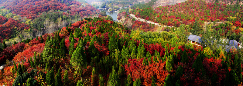 紅葉谷風(fēng)光
