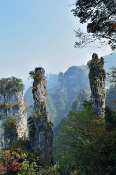 柴埠溪