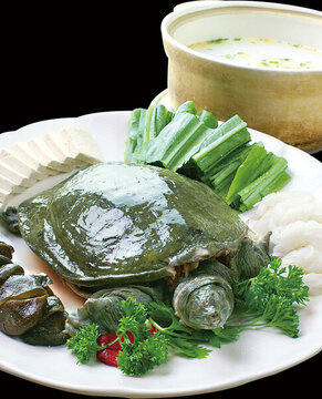堂灼黃河野生甲魚(yú)