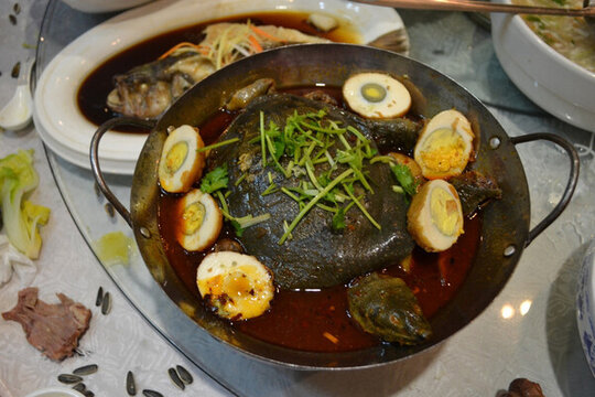 甲魚鍋