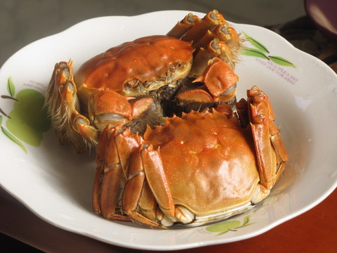 清蒸大閘蟹
