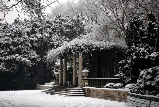公園雪景
