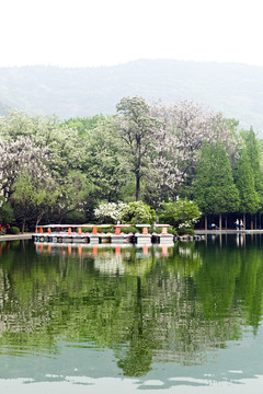 公園早晨