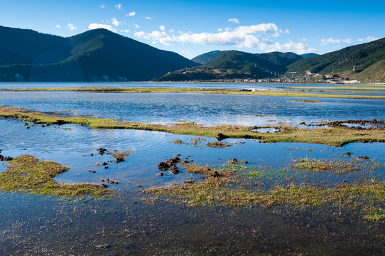 納帕海依拉草原風(fēng)光