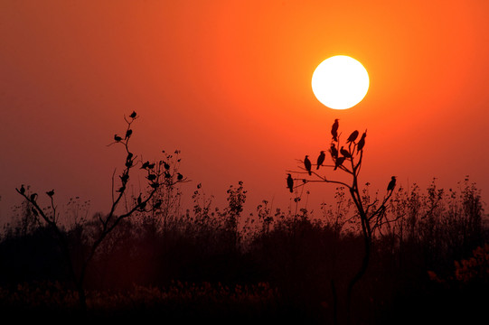日落夕陽(yáng)