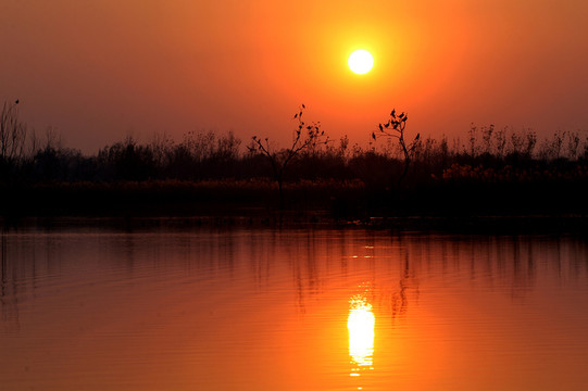 夕陽(yáng)