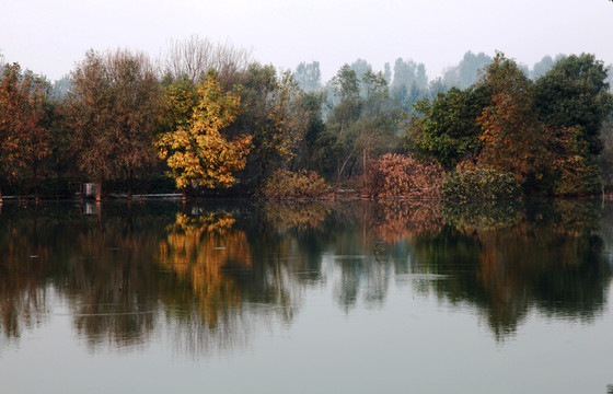 河邊秋景