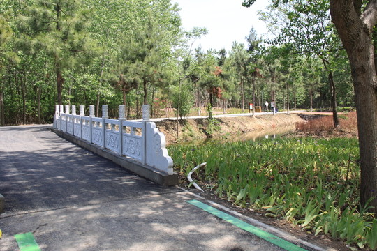 濱湖濕地公園