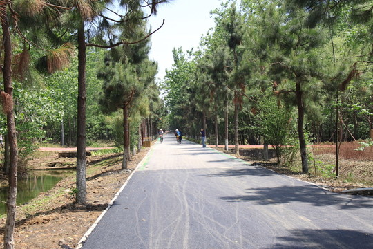 濱湖濕地公園