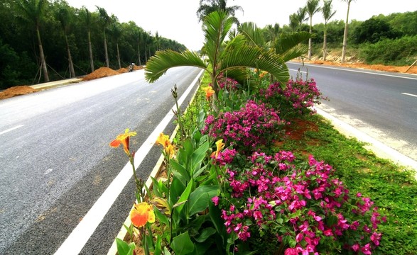 道路景觀