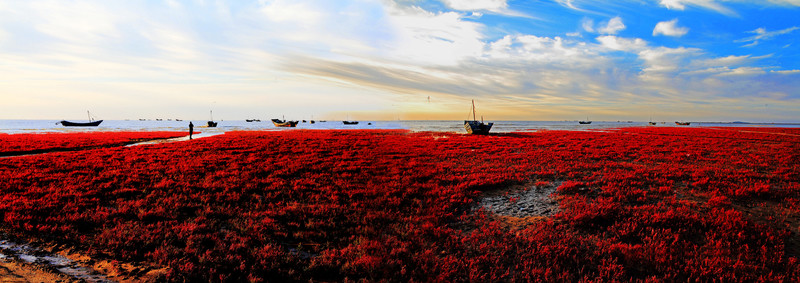 海岸紅地毯