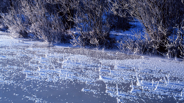 冰河霜雪
