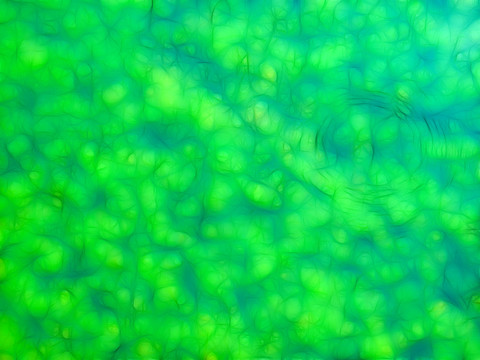 清新綠色紋理