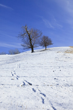 雪山