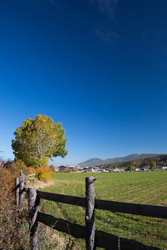 香格里拉田園