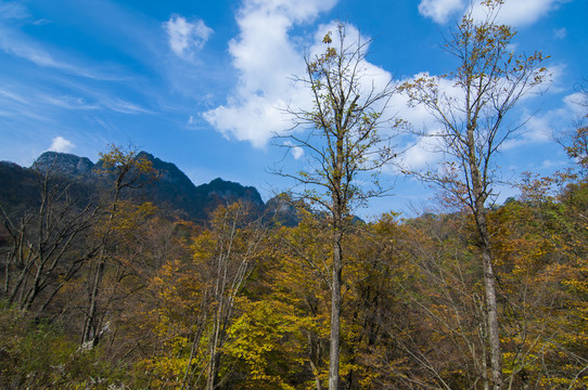 光霧山風(fēng)光