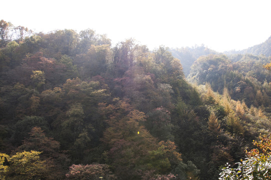 光霧山天然畫廊