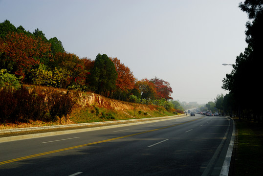 環(huán)山公路上的秋色