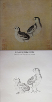 國畫  白描圖稿  宋代花鳥