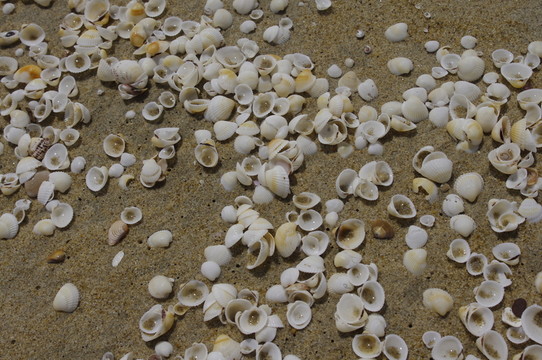 海邊