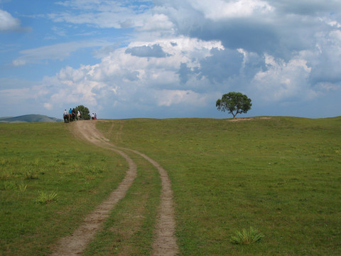 草原小路