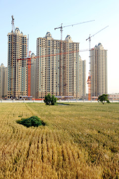 城市高層樓房建筑工地