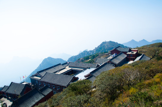 泰山