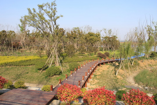巢湖風(fēng)光