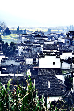 婺源風(fēng)光