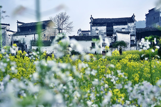 徽派建筑