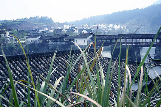 江西婺源風(fēng)光