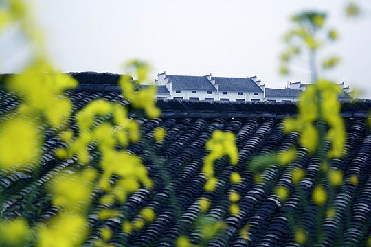 徽派建筑