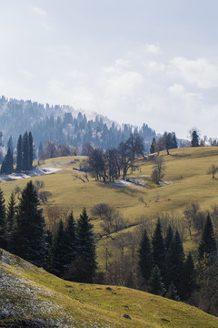 秋景