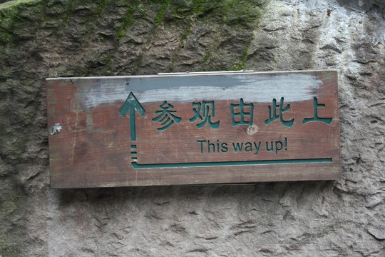 導(dǎo)視