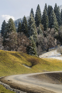 山路彎彎