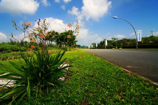 道路景觀