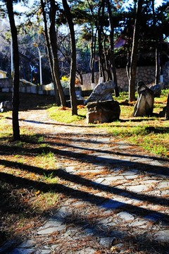 林中小路