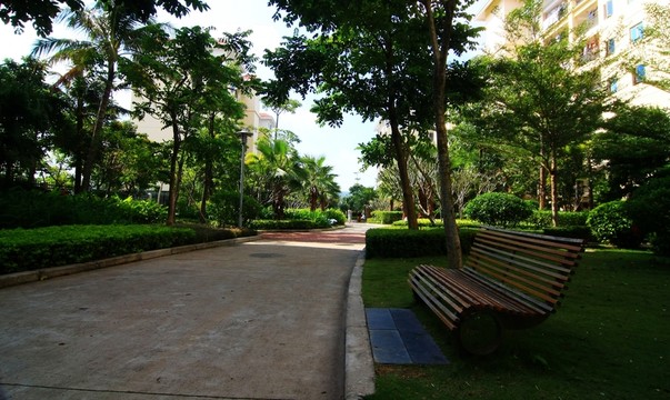 道路