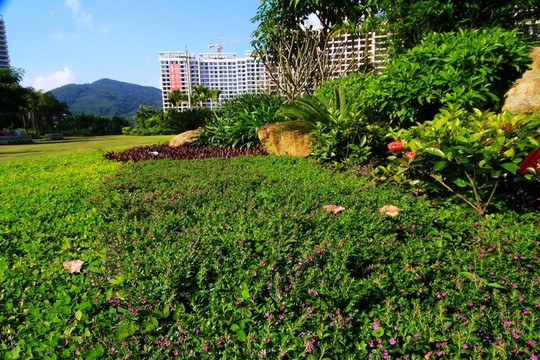 地產(chǎn)