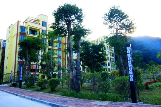 小區(qū)綠化
