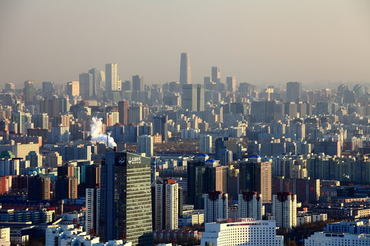 叢林