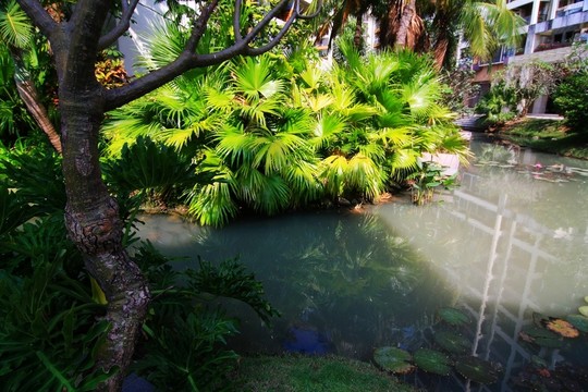 園林景觀