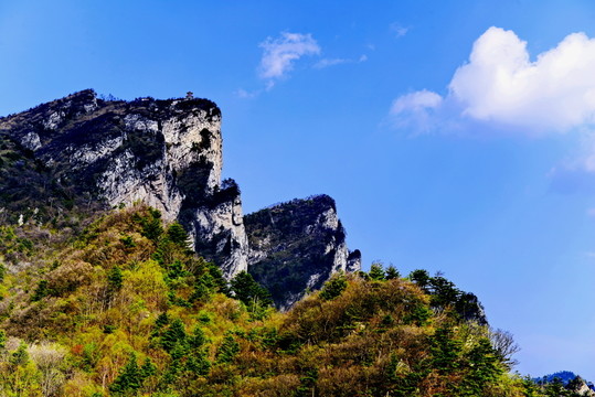 老界嶺風(fēng)光