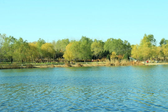 湖水遠(yuǎn)山   大山  水塘