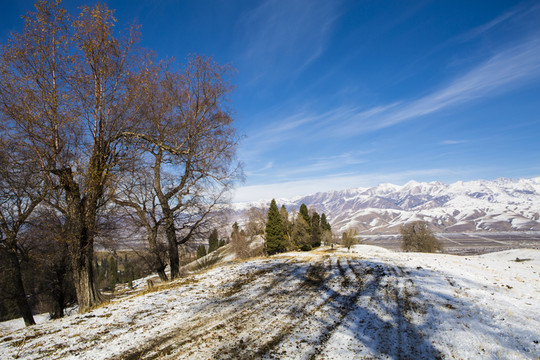 高原雪景